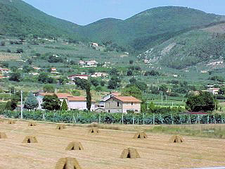 Typical Agriculture. Assisi & The Basilica Of  St. Francis, Italy, Europe. Travels & Tours, Pictures, Photos, & Information.
