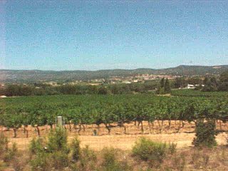 Tuscany Wine Country. Nice Italy To Lyon France, Travels & Tours Pictures, Photos, & Information.
