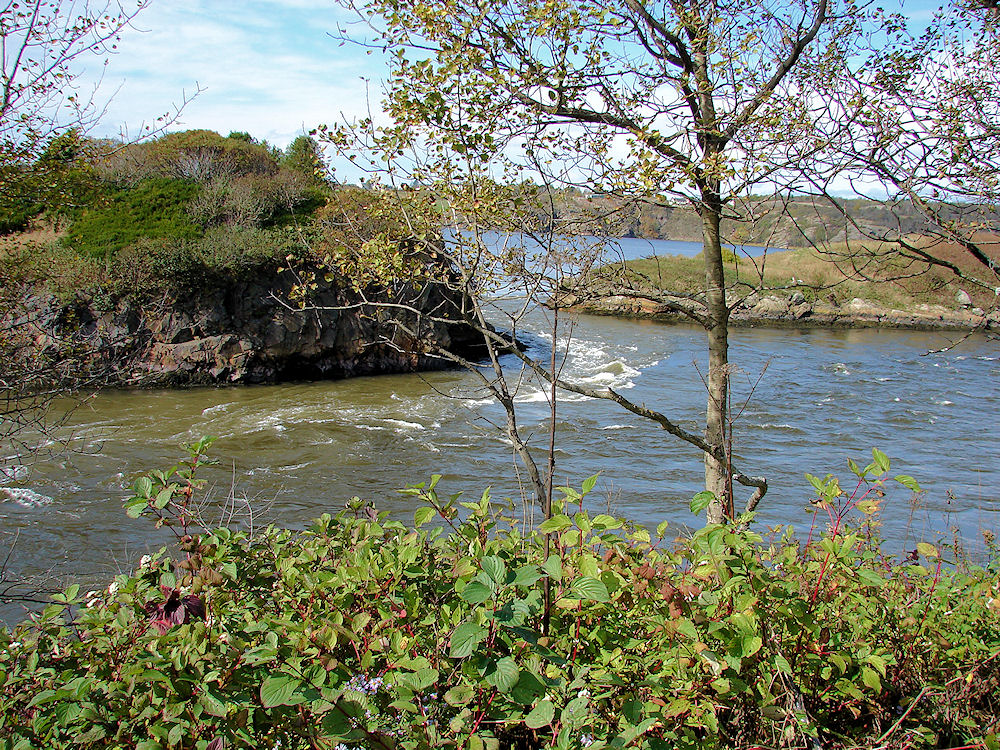 Reverse Flow Of Water At Reversing Falls. Saint John, New Brunswick, Canada. Travel, Tours Photos, Pictures, Information, & Reviews.