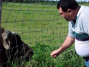 George DeLange Feeding A Musk Ox. Palmer Alaska Musk Ox Farm. Travels & Tours Pictures, Photos, Images, & Reviews.