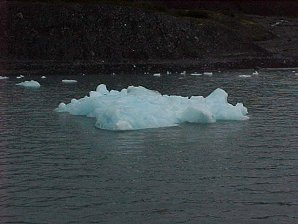 Floating Ice. Portage Glacier. Alaska Travels & Tours Pictures, Photos, Images, & Reviews.