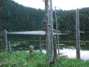 Scenery. Alaska Kenai Fjord Cruise, Alaska. Travels & Tours, Pictures, Photos, Images, & Reviews.