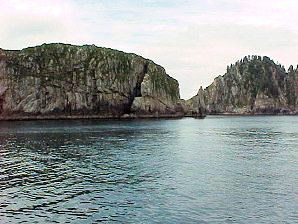 Wild Birds. Alaska Kenai Fjord Cruise. Travels & Tours Pictures, Photos, Images, & Reviews.