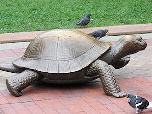 Copley Square Turtle And Hare Statues By Nancy Sch�n. Boston, Massachusetts. Travel, Tours Photos, Pictures, Information, & Reviews.