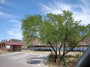 Acacia Picnic Site, Canyon Lake, Arizona. Travels & Tours, Pictures, Photos, Images, & Reviews.