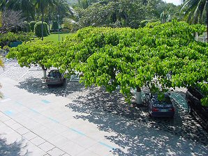 Secure Parking. Hotel La Finca. Veracruz Mexico. Travel & Tour Pictures, Photos, Information, Images, & Reviews.