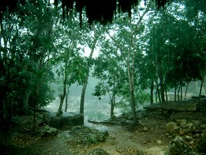 'The 'Sacred Well,' or 'Well Of Sacrifice,' Cenote of Chichen Itza. After A Rain. Chichen Itza Archaeological Ruins. Yucatan Peninsula, Yucatn, Mexico. Travel & Tour Pictures, Photos, Information, Images, & Reviews.