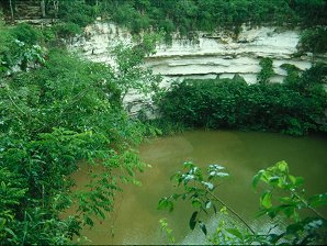 'The 'Sacred Well,' or 'Well Of Sacrifice,' Cenote of Chichen Itza. After A Rain. Chichen Itza Archaeological Ruins. Yucatan Peninsula, Yucatn, Mexico. Travel & Tour Pictures, Photos, Information, Images, & Reviews.