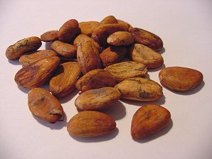 Dried Cocao Seeds