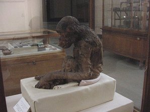 Embalmed Monkey. Egyptian Museum. Cairo, Egypt. Travels & Tours. Pictures, Photos, Images, Descriptions, Information, & Reviews.