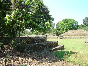 Izapa Olmec & Mayan Archaeological Ruins. Near Tapachula, Chiapas, Mexico. Travel & Tour Pictures, Photos, Information, Images, & Reviews.
