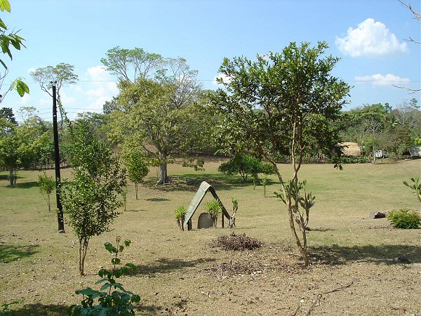 West Mound Of Group A. Izapa Olmec & Mayan Archaeological Ruins. Near Tapachula, Chiapas, Mexico. Travel & Tour Pictures, Photos, Information, Images, & Reviews.