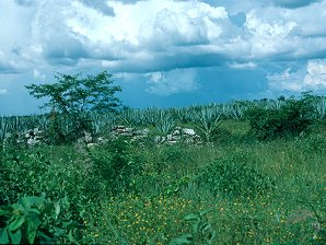 Kabh Archaeological Ruins. State Of Yucatn On The Yucatn Peninsula, Mxico. Travel & Tour Pictures, Photos, Information, Images, Reviews.