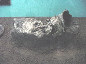 National Museum of Archeology and Ethnology, Museo Nacional de Arqueologa y Etnologa, Home To Many Artifacts From Kaminaljuyu. Guatemala City, Guatemala. Travel & Tour Pictures, Photos, Information, Images, & Reviews.