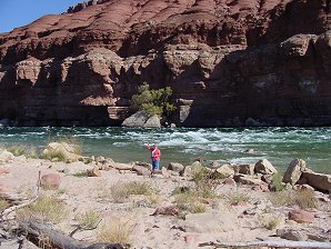 Full Of Trout