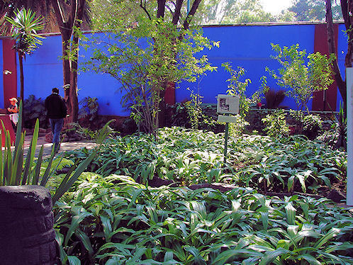 Frida Kahlo Museum, Museo Frida Kahlo, Blue House, or La Casa Azul. Coyoac�n, M�xico D.F., Mexico. Travel & Tour Pictures, Photos, Information, Images, & Reviews.