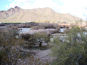 Phon D Sutton Camping Area. Lower Salt River Recreation Area. Arizona. Tubing, Biking, Hiking, Travels & Tours, Pictures, Photos, Images, & Reviews.