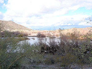 Phon D Sutton Camping Area. Lower Salt River Recreation Area. Arizona. Tubing, Biking, Hiking, Travels & Tours, Pictures, Photos, Images, & Reviews.