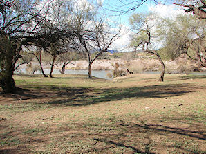 Blue Point Recreation Area. Lower Salt River Recreation Area. Arizona. Tubing, Biking, Hiking, Travels & Tours, Pictures, Photos, Images, & Reviews.
