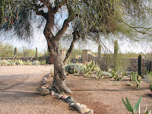 Tovrea Castle & Carraro Cactus Garden. Phoenix, Arizona. Travels & Tours, Pictures, Photos, Images, & Reviews.