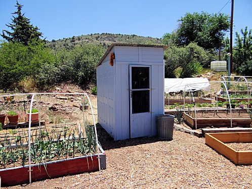 Raised Bed Gardening Works Best!.  Yarnell Community Garden Project, Yarnell, Arizona. Pictures, Photos, Images, Descriptions, Information, & Reviews.