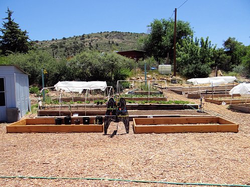Raised Bed Gardening Works Best!.  Yarnell Community Garden Project, Yarnell, Arizona. Pictures, Photos, Images, Descriptions, Information, & Reviews.