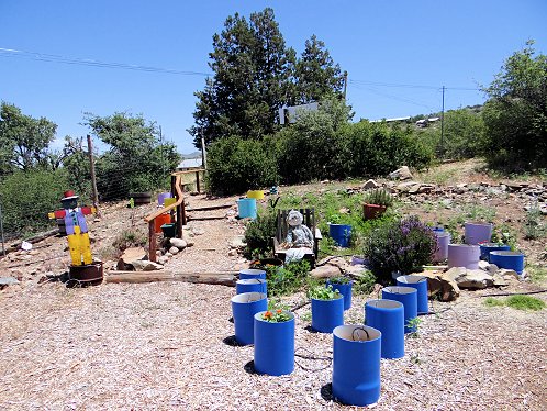 Raised Bed Gardening Works Best!. Yarnell Community Garden Project, Yarnell, Arizona. Pictures, Photos, Images, Descriptions, Information, & Reviews.